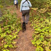 Review photo of Mukooda Lake Campground — Voyageurs National Park by Janet R., September 28, 2021