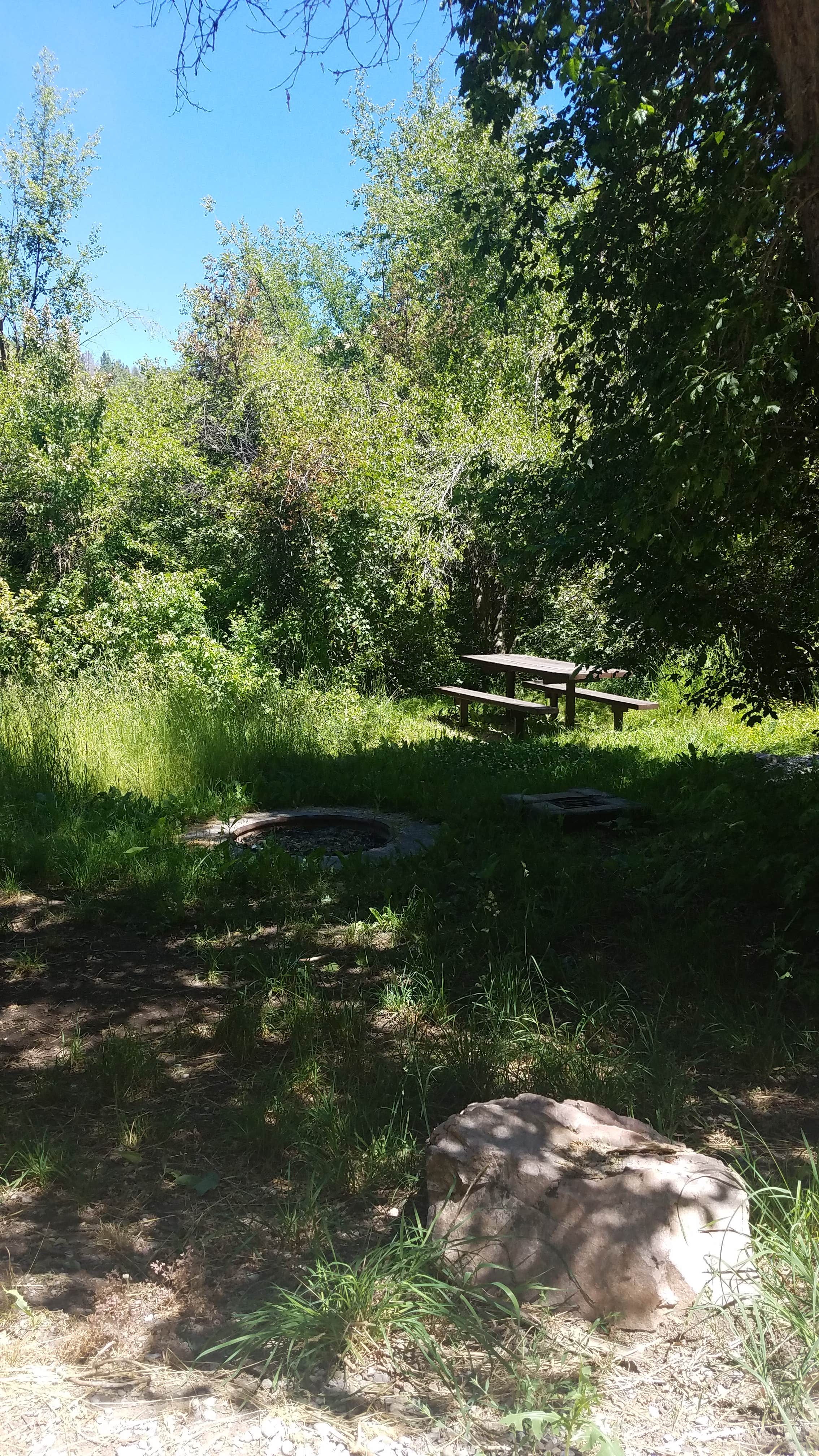 Camper submitted image from Albert Moser - 4