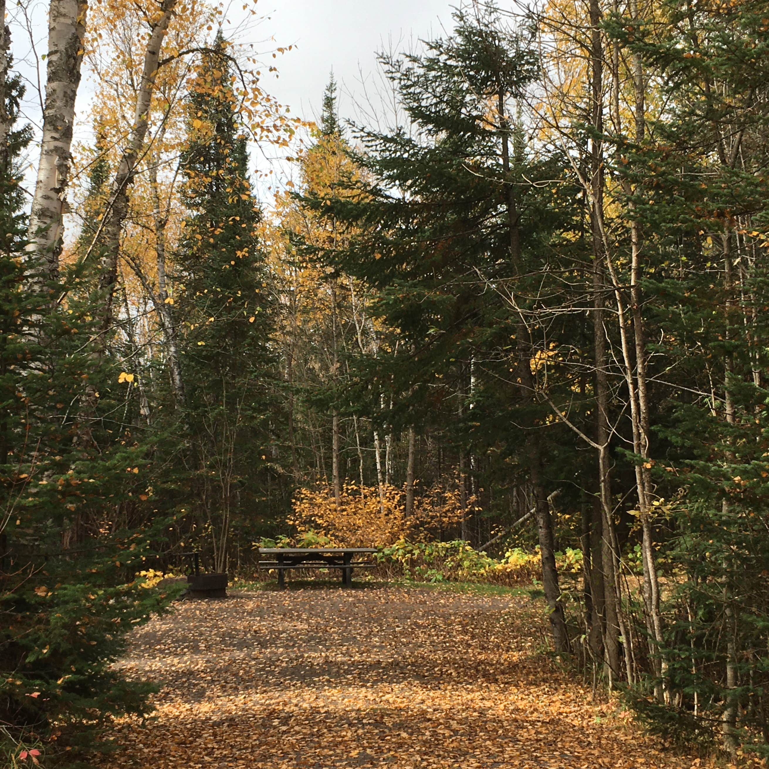 Kimball Lake Campground Camping The Dyrt