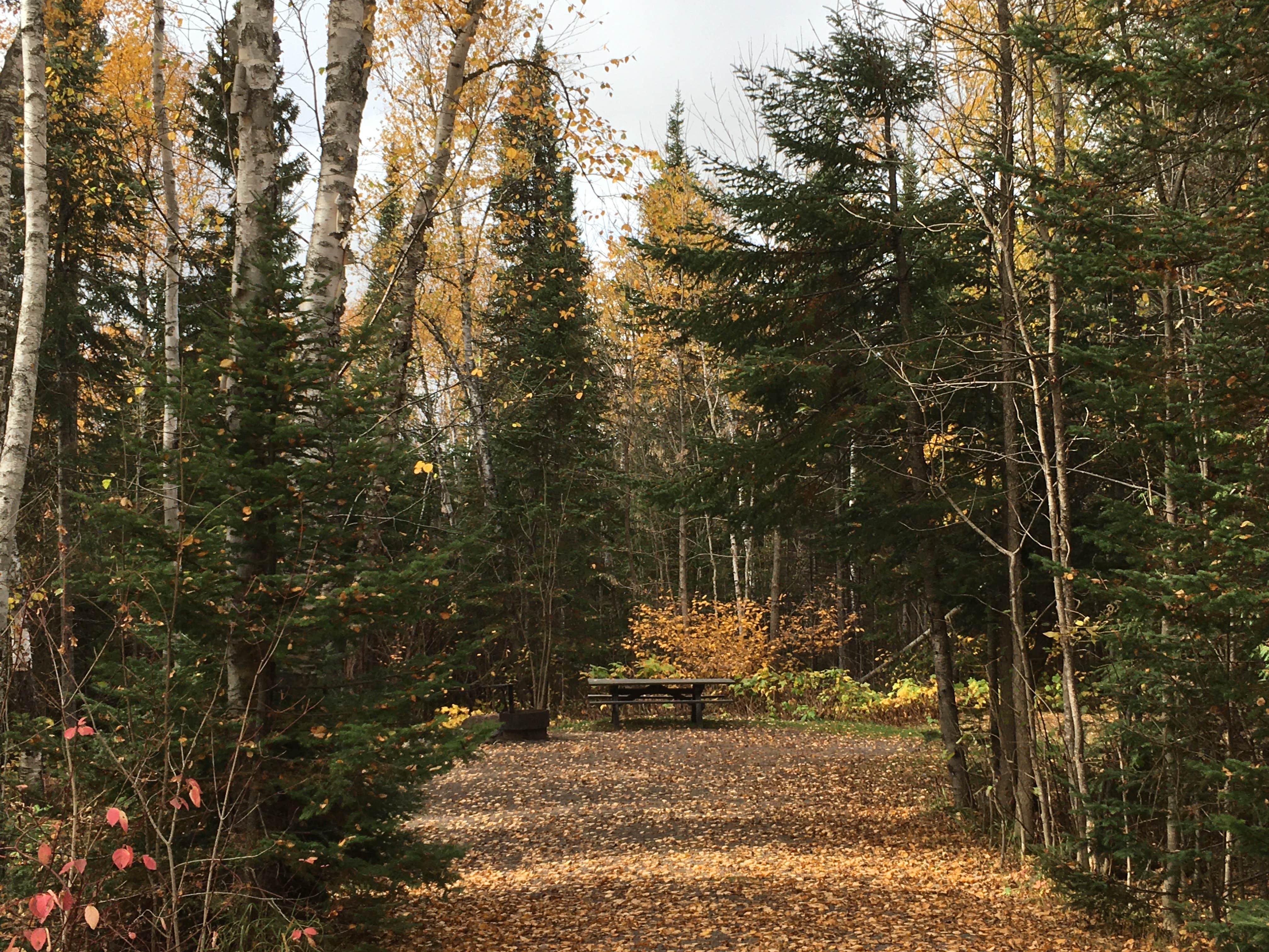 Camper submitted image from Kimball Lake Campground - 3