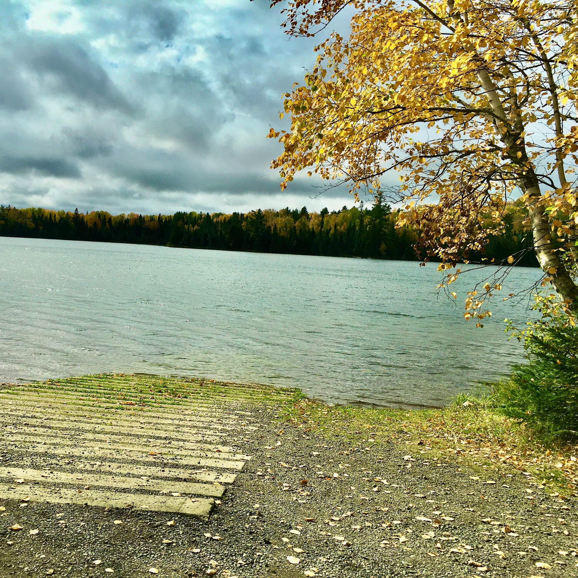 Kimball Lake Campground Camping The Dyrt