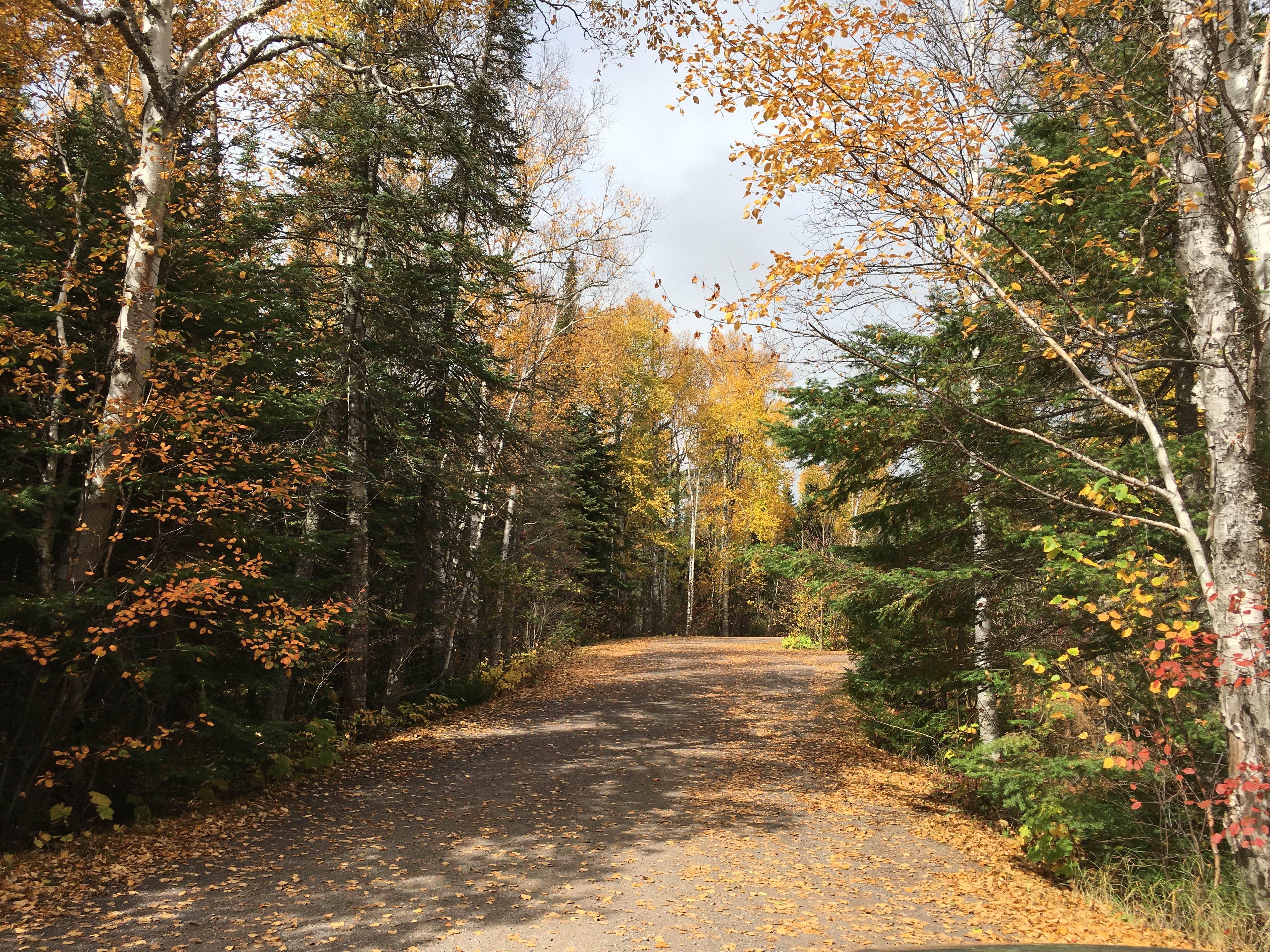 Camper submitted image from Kimball Lake Campground - 2