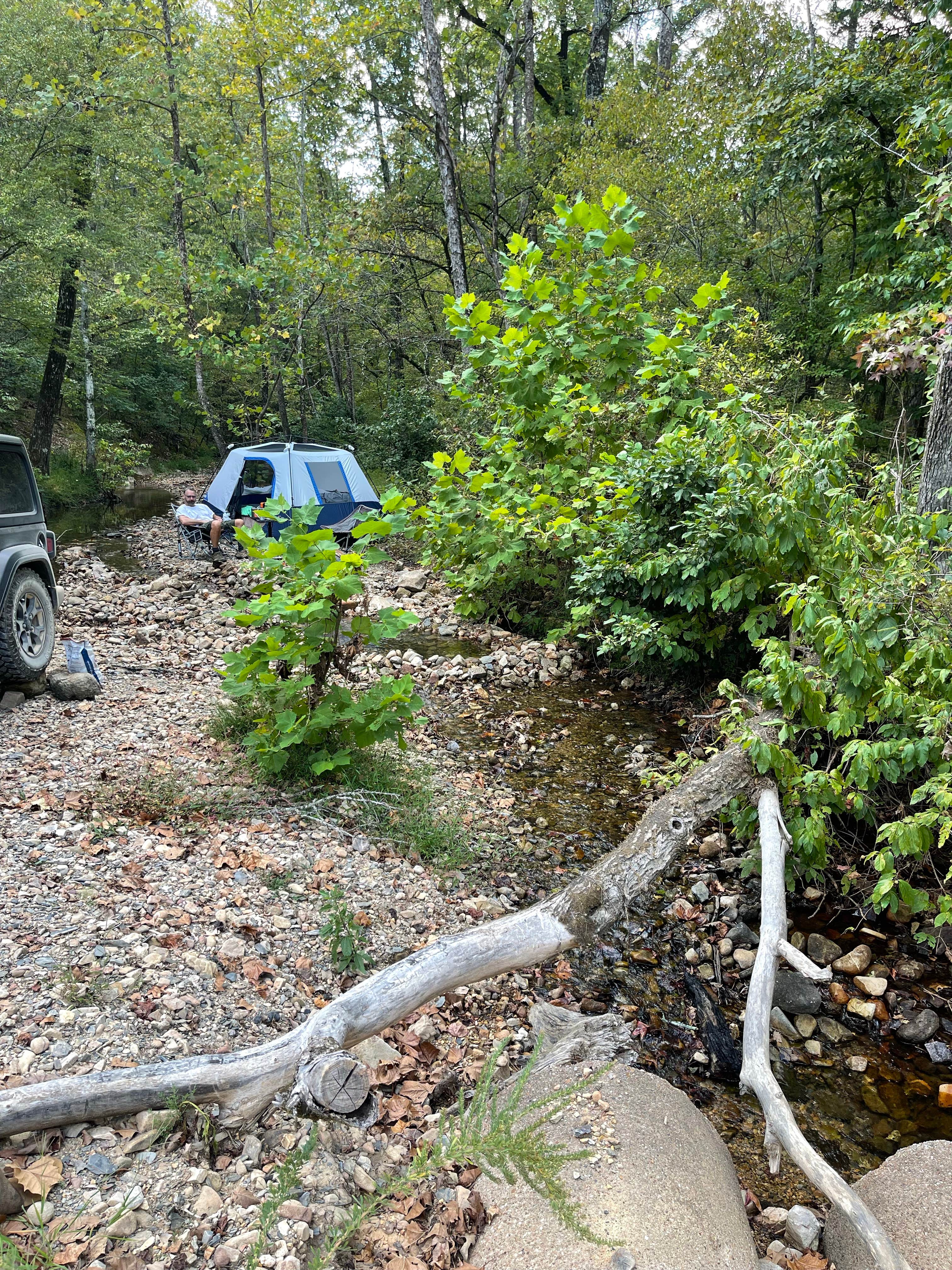 Candace R.'s photo of tent camping at Hickory Nut Mountain near Nimrod Lake