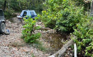 Candace R.'s photo at Hickory Nut Mountain near Ouachita National Forest