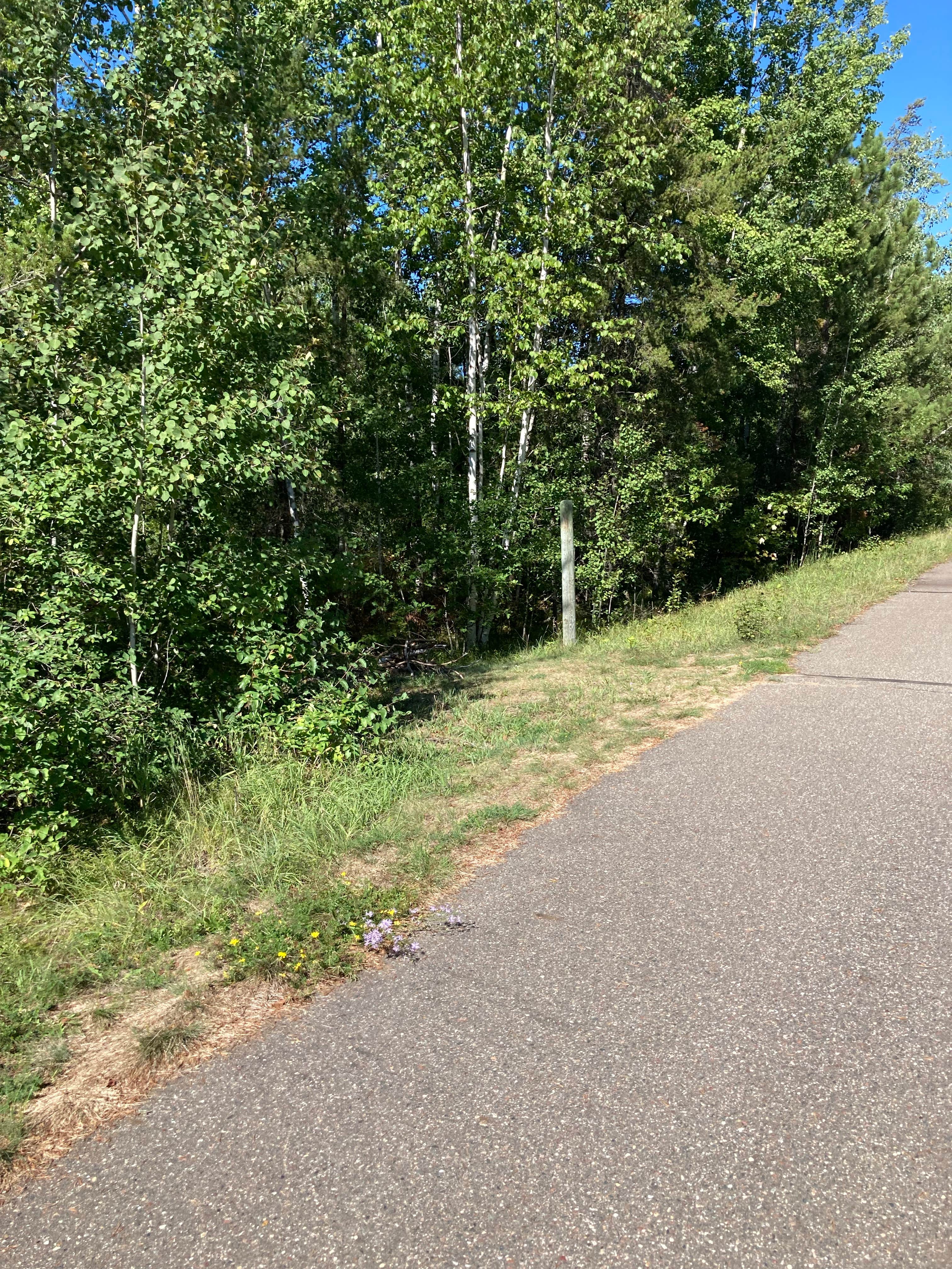 Camping near South Bend Watercraft Site: Paul Bunyan Trail Canoe Campsite, Pequot Lakes, Minnesota