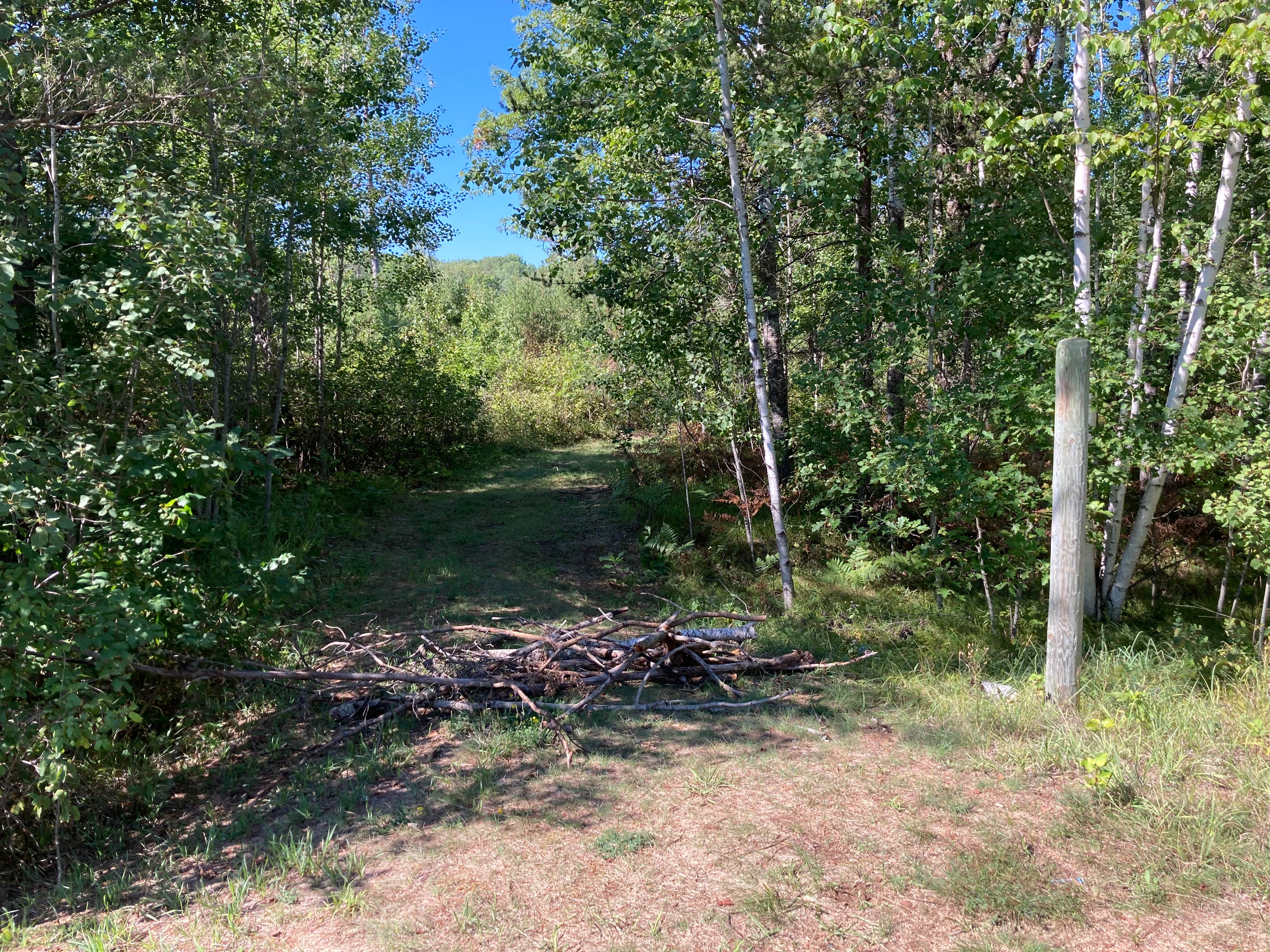 Camper-submitted photo at Paul Bunyan Trail Canoe Campsite near Staples, MN