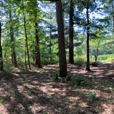 Review photo of Paul Bunyan Trail Canoe Campsite by Janet R., September 28, 2021