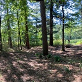 Review photo of Paul Bunyan Trail Canoe Campsite by Janet R., September 28, 2021
