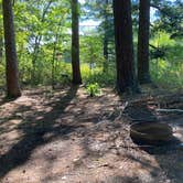 Review photo of Paul Bunyan Trail Canoe Campsite by Janet R., September 28, 2021