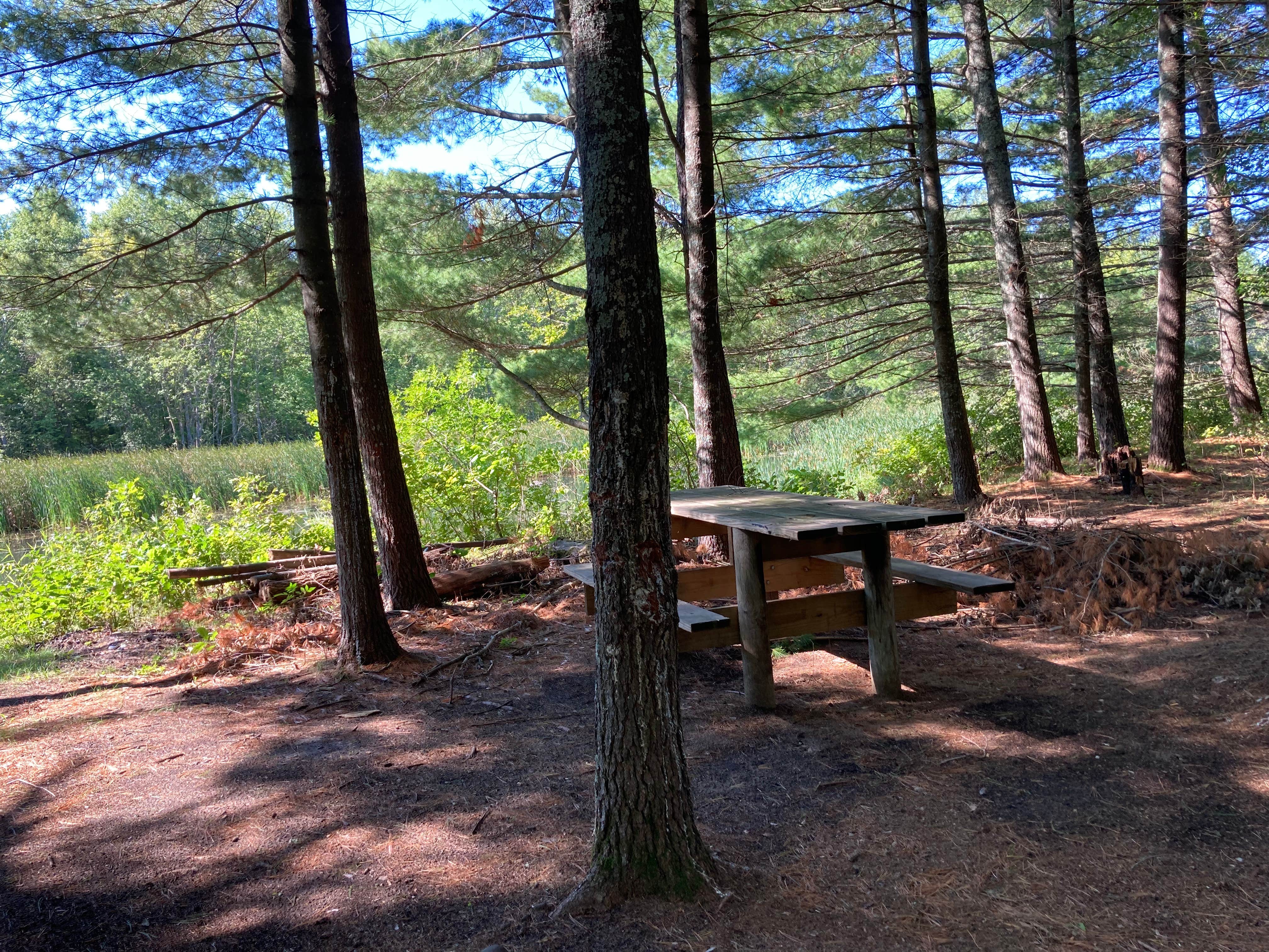 Camper submitted image from Paul Bunyan Trail Canoe Campsite - 5