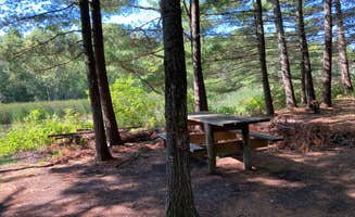 Janet R.'s photo at Paul Bunyan Trail Canoe Campsite near Hackensack, MN