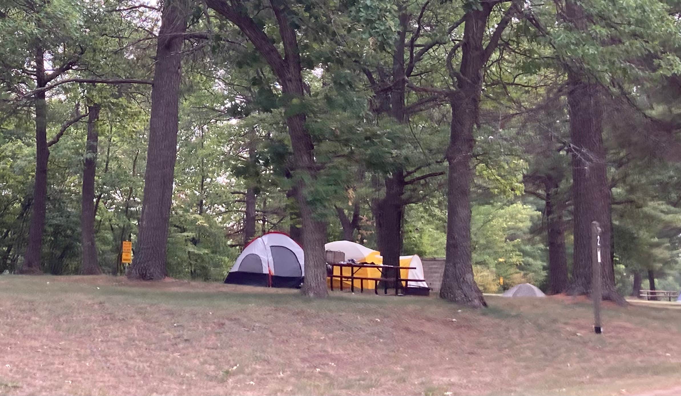 Janet R.'s photo at Military Park Camp Ripley DeParcq Woods Campground near Royalton, MN