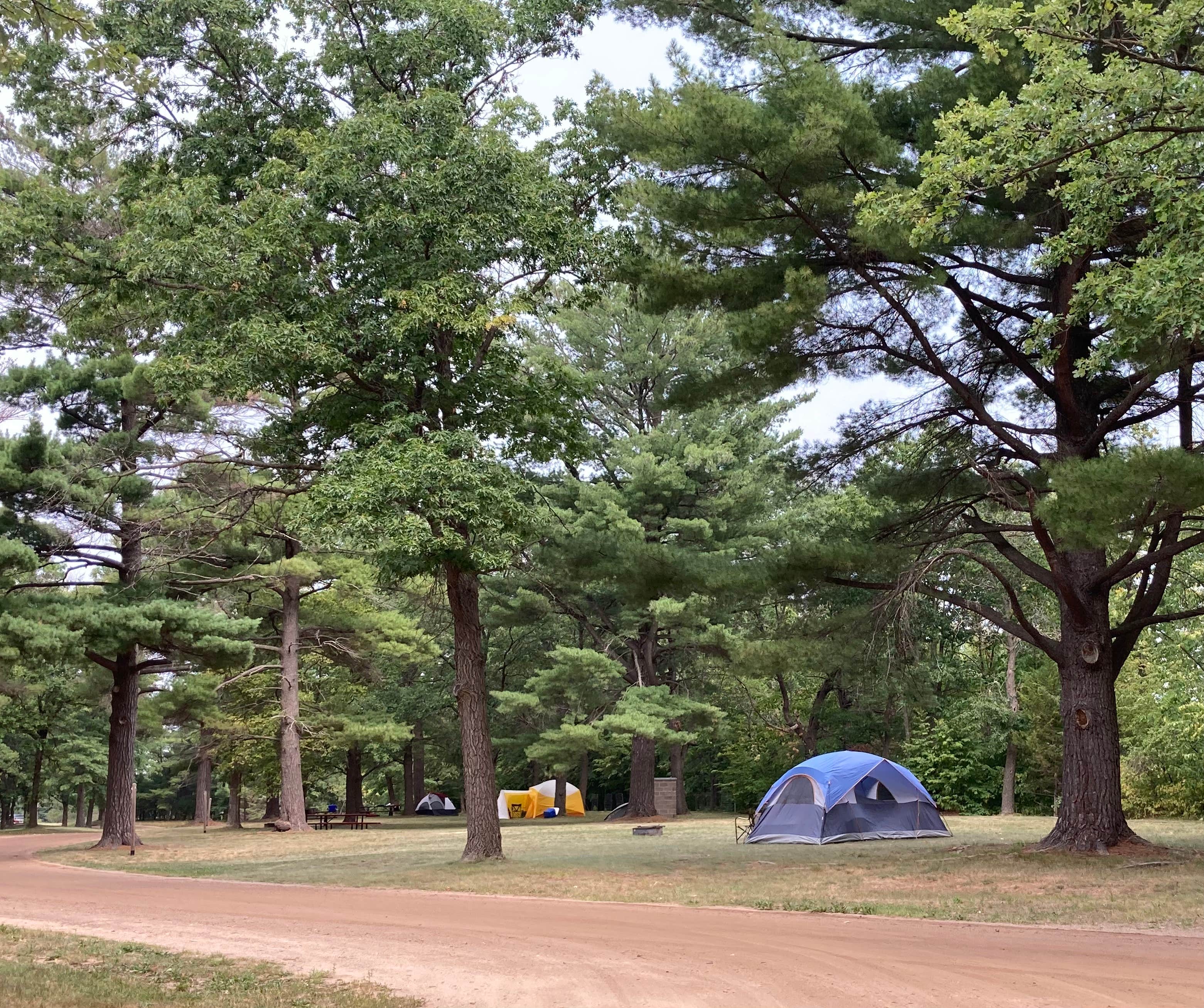 Janet R.'s photo at Military Park Camp Ripley DeParcq Woods Campground near Baxter, MN