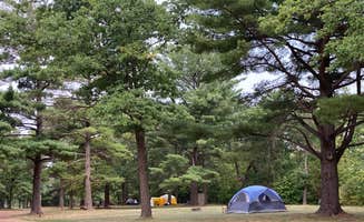 Janet R.'s photo at Military Park Camp Ripley DeParcq Woods Campground near Baxter, MN