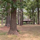 Review photo of Military Park Camp Ripley DeParcq Woods Campground by Janet R., September 28, 2021