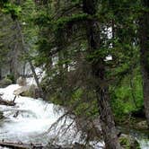 Review photo of Jenny Lake Campground — Grand Teton National Park by Alan B., July 1, 2018