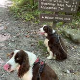 Review photo of Elkmont Campground — Great Smoky Mountains National Park by Joel R., September 26, 2021