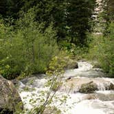Review photo of Jenny Lake Campground — Grand Teton National Park by Alan B., July 1, 2018