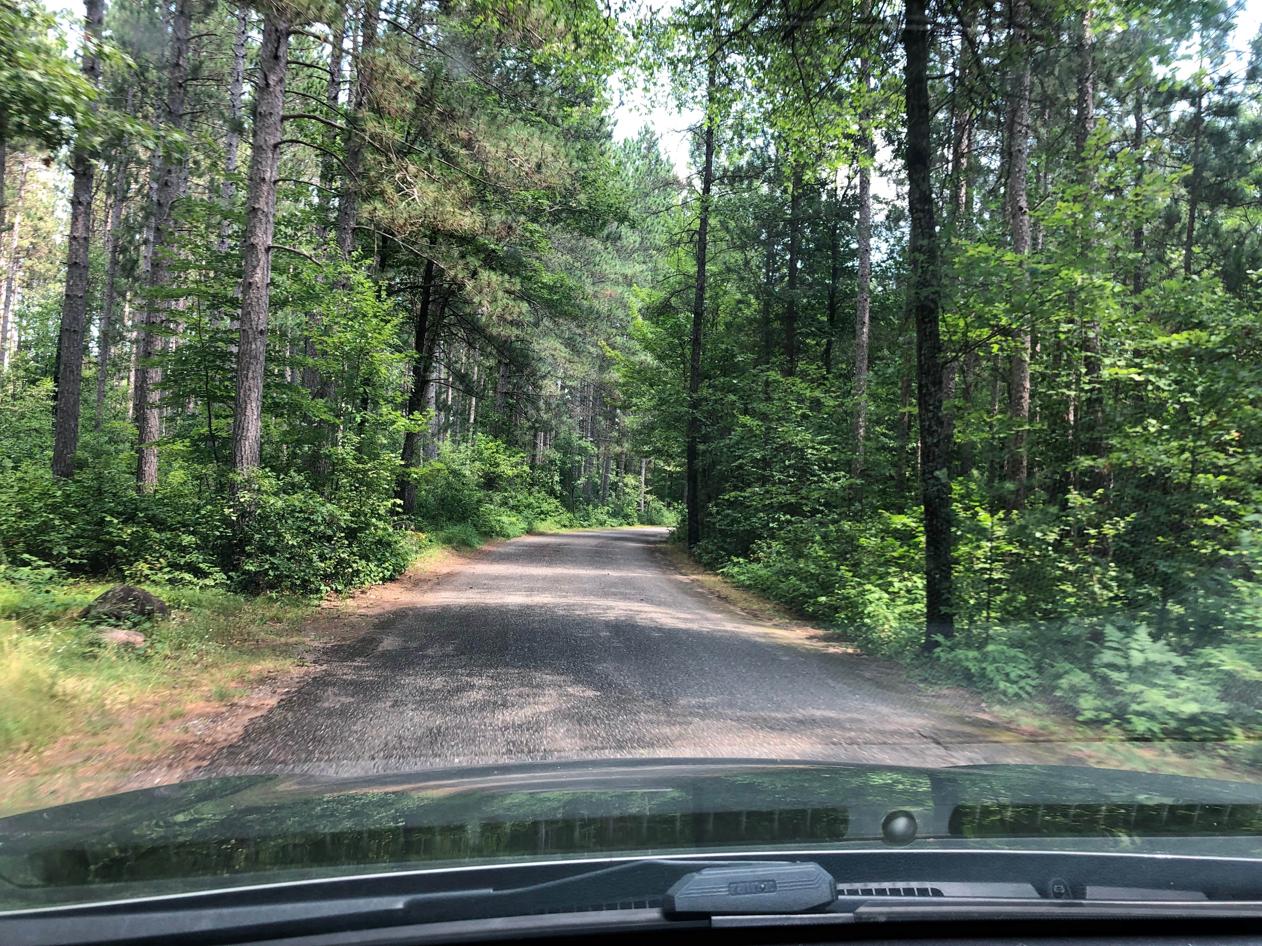 Camper submitted image from Twelve Foot Falls County Park - 3