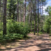 Review photo of Twelve Foot Falls County Park by Art S., September 28, 2021