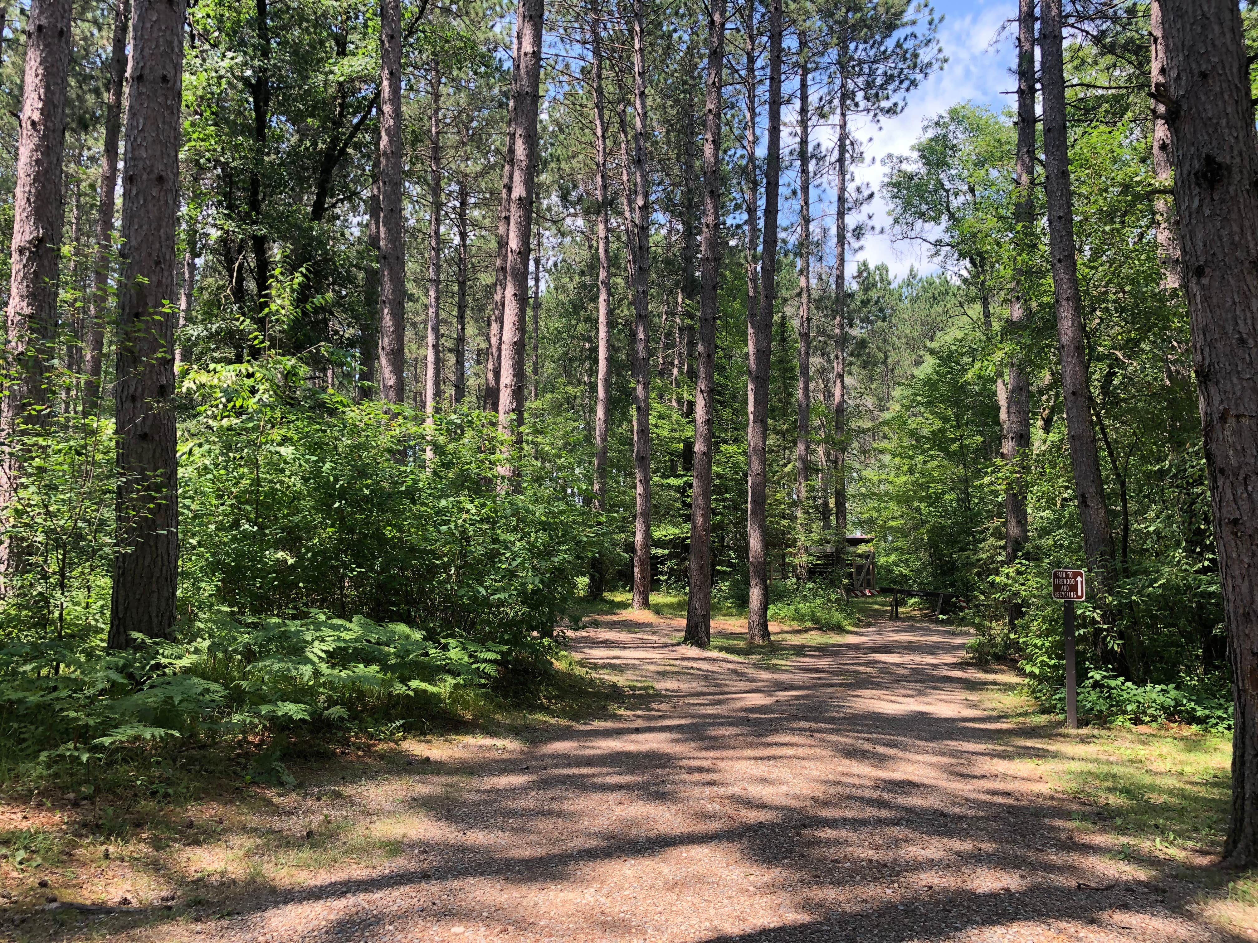 Camper submitted image from Twelve Foot Falls County Park - 4