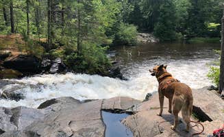 Art S.'s photo of camping with pets at Twelve Foot Falls County Park in Wisconsin