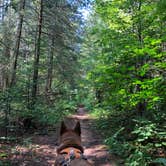 Review photo of Twelve Foot Falls County Park by Art S., September 28, 2021