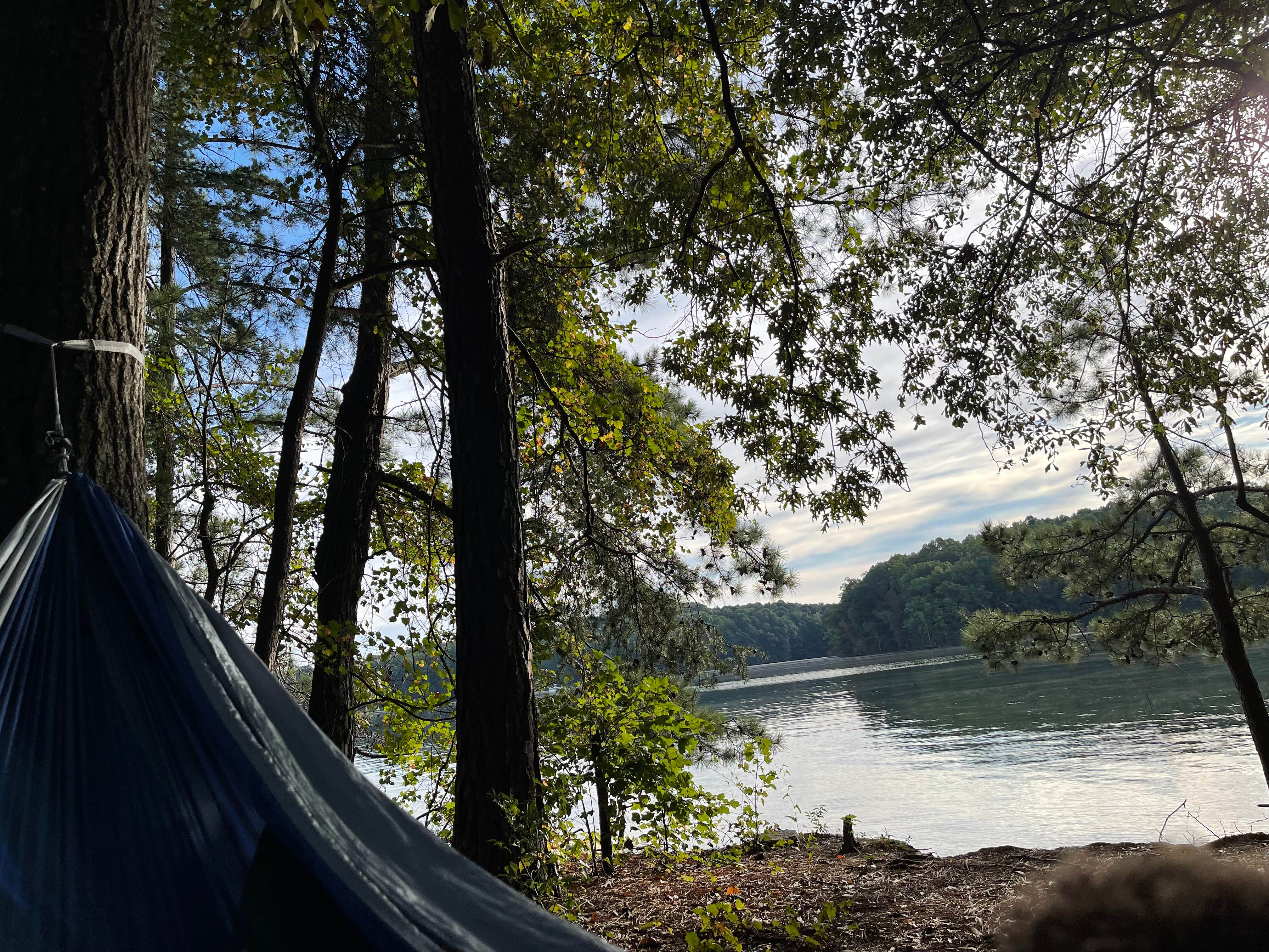 Catherine C.'s photo at Bald Ridge Creek near Oakwood, GA