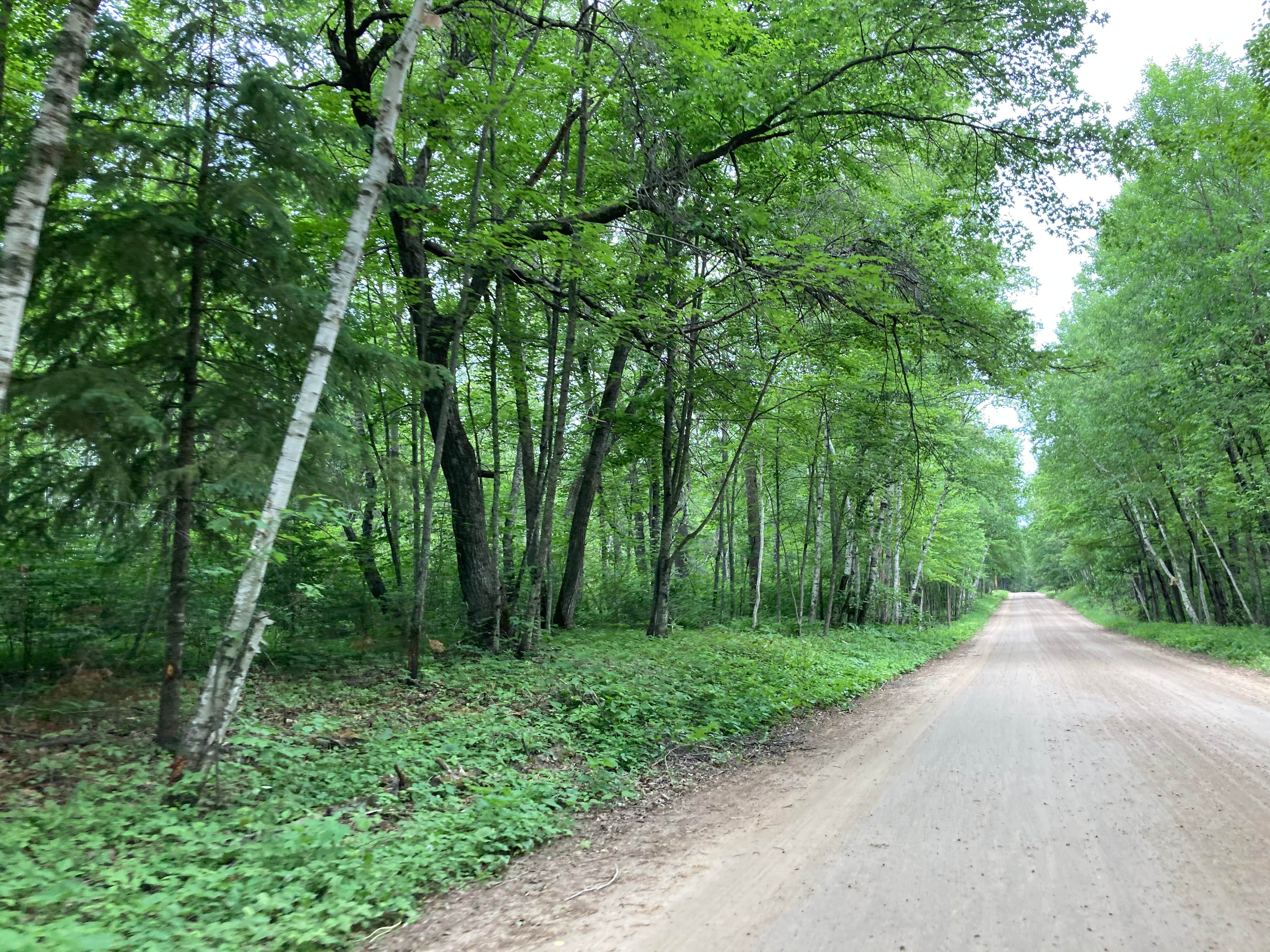 Camper submitted image from Williams Narrows - 3