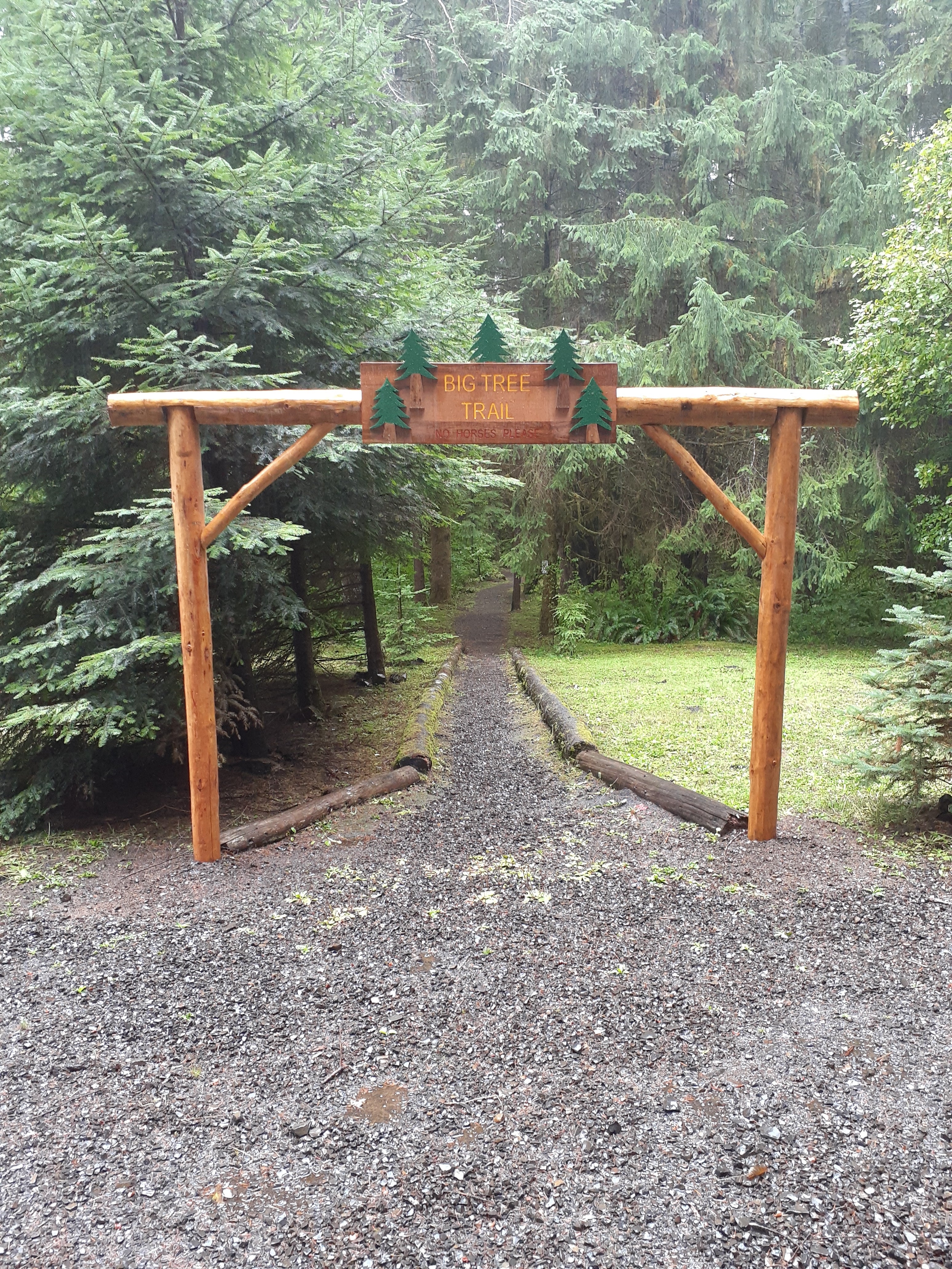 Camper submitted image from Clatsop State Forest Northrup Creek Horse Campground - 5