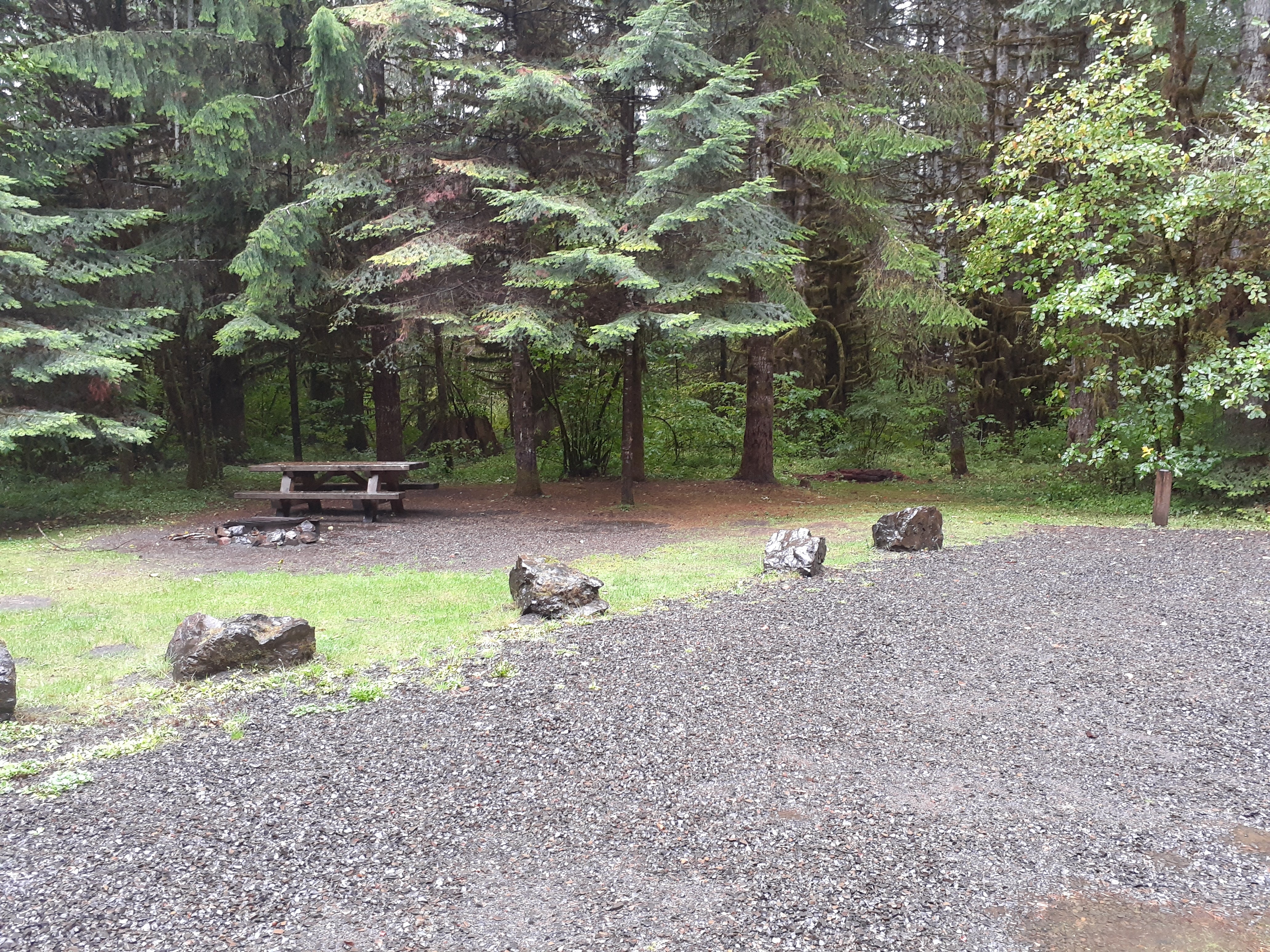 Camper submitted image from Clatsop State Forest Northrup Creek Horse Campground - 4