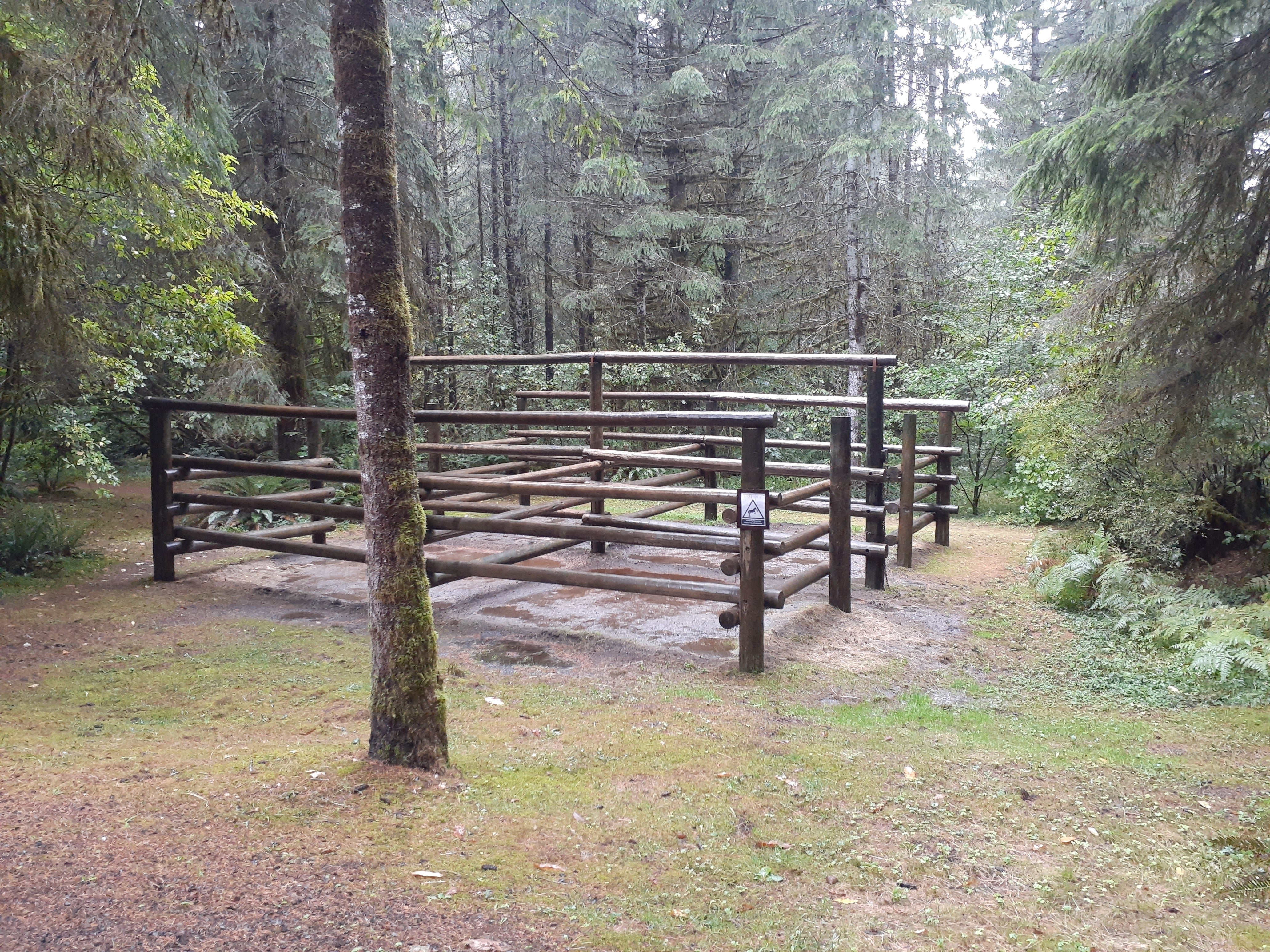Camper submitted image from Clatsop State Forest Northrup Creek Horse Campground - 3