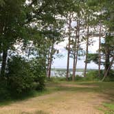 Review photo of Norway Beach - Cass Lake Walk-In Campground Loop by Janet R., September 29, 2021