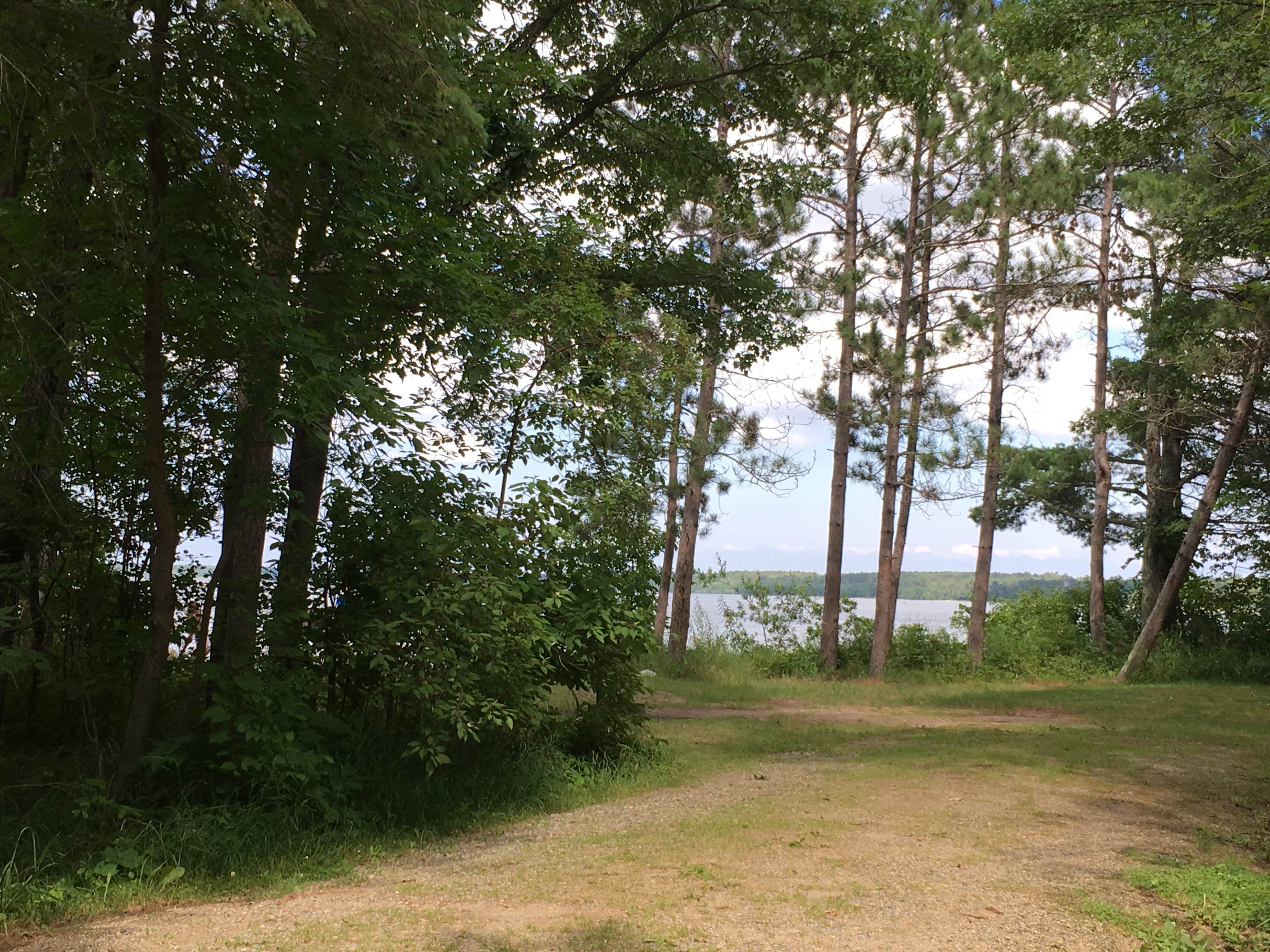 Camper submitted image from Norway Beach - Cass Lake Walk-In Campground Loop - 2