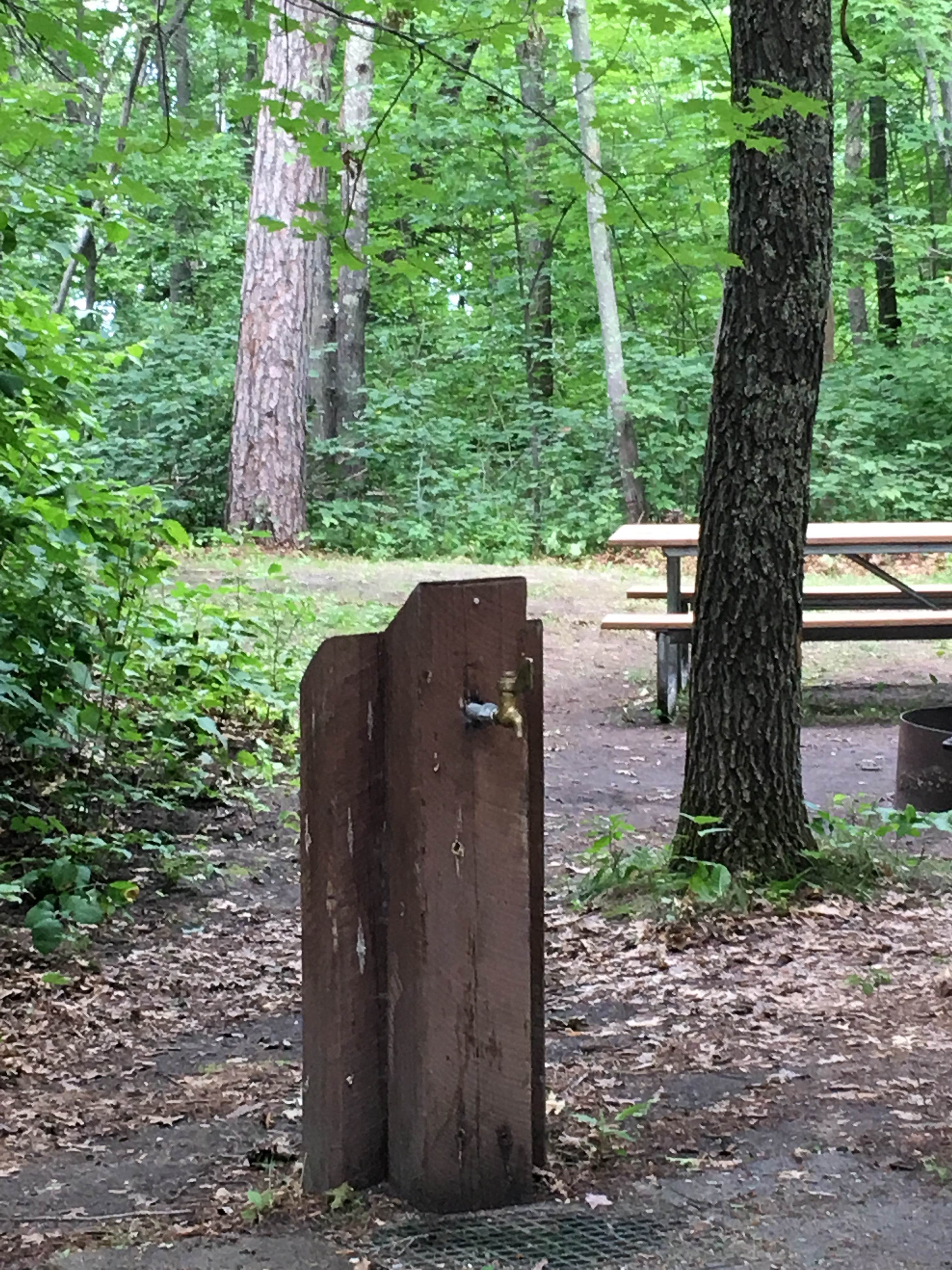 Camper-submitted photo at Norway Beach - Cass Lake Walk-In Campground Loop near Cass Lake, MN