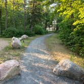 Review photo of Norway Beach - Cass Lake Walk-In Campground Loop by Janet R., September 29, 2021