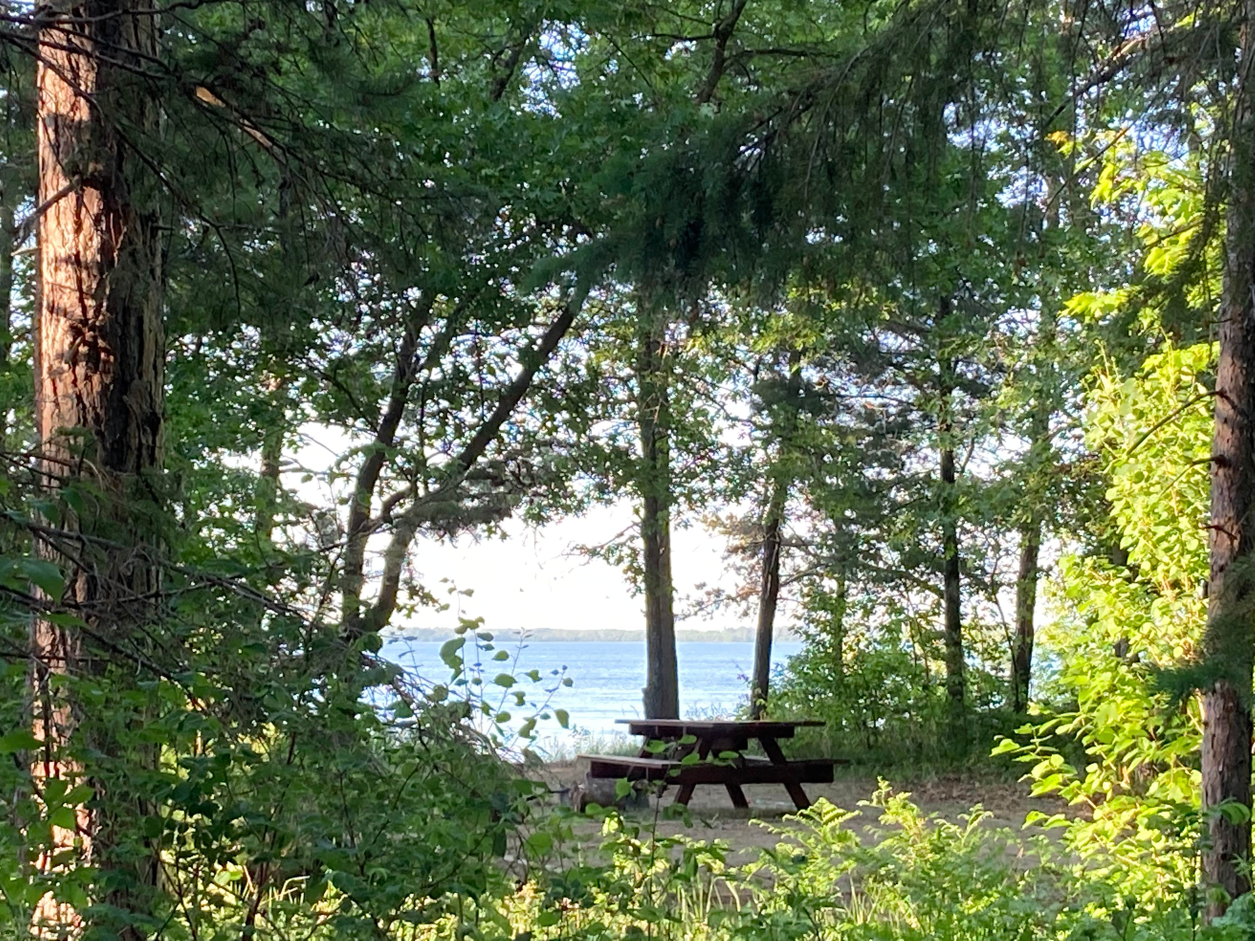 Camper submitted image from Norway Beach - Cass Lake Walk-In Campground Loop - 5