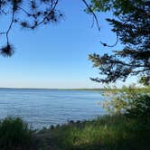 Review photo of Norway Beach - Cass Lake Walk-In Campground Loop by Janet R., September 29, 2021