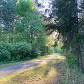 Review photo of Norway Beach - Cass Lake Walk-In Campground Loop by Janet R., September 29, 2021