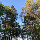 Review photo of Norway Beach - Cass Lake Walk-In Campground Loop by Janet R., September 29, 2021