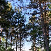 Review photo of Norway Beach - Cass Lake Walk-In Campground Loop by Janet R., September 29, 2021