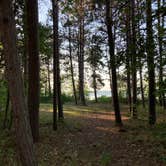 Review photo of Norway Beach - Cass Lake Walk-In Campground Loop by Janet R., September 29, 2021