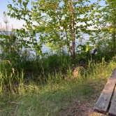 Review photo of Norway Beach - Cass Lake Walk-In Campground Loop by Janet R., September 29, 2021