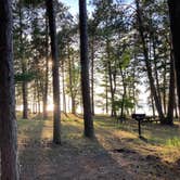 Review photo of Norway Beach - Cass Lake Walk-In Campground Loop by Janet R., September 29, 2021