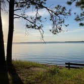 Review photo of Norway Beach - Cass Lake Walk-In Campground Loop by Janet R., September 29, 2021