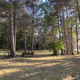 Review photo of Norway Beach - Cass Lake Walk-In Campground Loop by Janet R., September 29, 2021