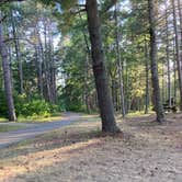 Review photo of Norway Beach - Cass Lake Walk-In Campground Loop by Janet R., September 29, 2021