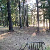 Review photo of Norway Beach - Cass Lake Walk-In Campground Loop by Janet R., September 29, 2021