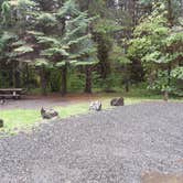 Review photo of Clatsop State Forest Northrup Creek Horse Campground by Kelcie T., September 29, 2021