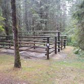 Review photo of Clatsop State Forest Northrup Creek Horse Campground by Kelcie T., September 29, 2021